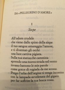 Corrado Govoni poeti crepuscolari siepe cctm poesia italia a noi piace leggere
