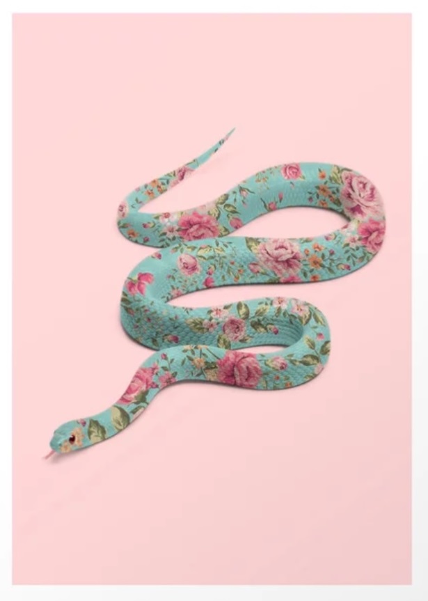 paul fuentes fotografia cctm arte a noi piace leggere floral snake
