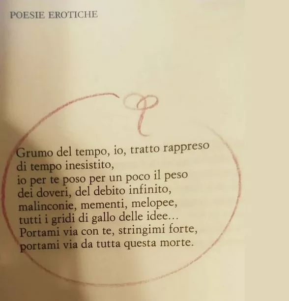 patrizia valduga poesie erotiche cctm a noi piace leggere