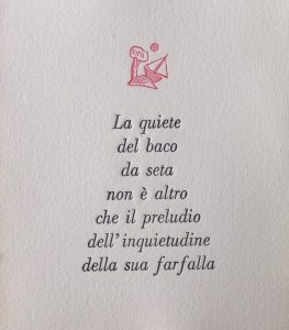 Alberto Casiraghy (Italia) pulcinoelefante librini cctm a noi piace leggere poesia baco farfalla