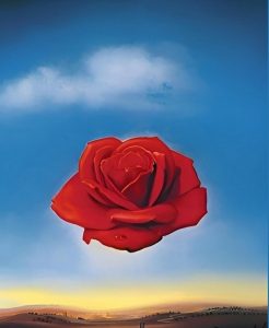 Silvana Sonno Anamorfé poesia rosa meditativa Salvador Dalì cctm a noi piace leggere