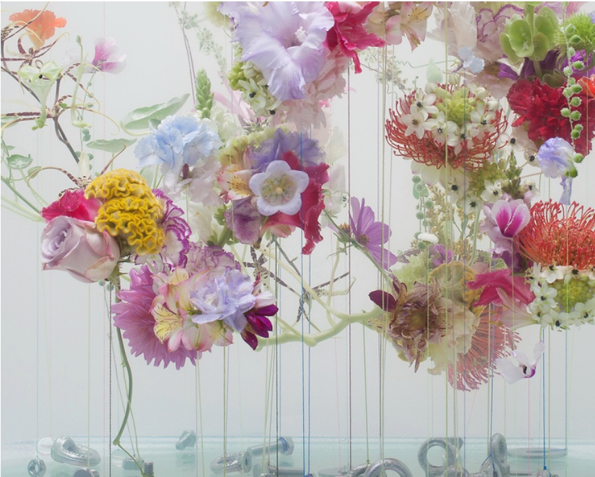 Anne ten Donkelaar (Paesi Bassi) floral designer Olanda fiori cctm a noi piace leggere