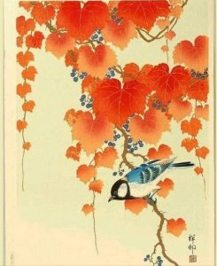 Ohara Koson (Giappone) Uccello su paulownia, 1934 arte shin-hanga bird cctm a noi piace leggere