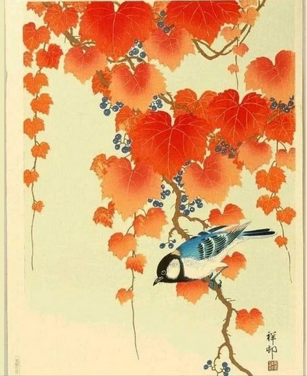 Ohara Koson (Giappone) Uccello su paulownia, 1934 arte shin-hanga bird cctm a noi piace leggere