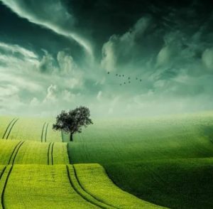 David Maria Turoldo memoria poesia io non ho mani cctm a noi piace leggere italia