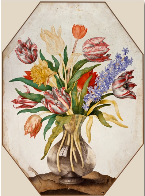 Giovanna Garzoni (1600 – Roma, 1670) vaso cn tulipani galleria uffizi Firenze cctm arte a noi piace leggere