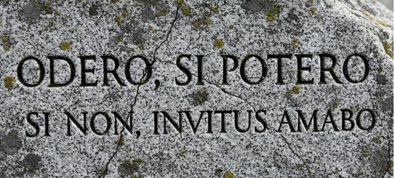 Ovidio Ti odierò Odero, si potero Amores odio amore latino poesia cctm a noi piace leggere