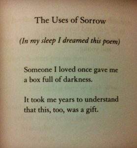 Mary Oliver Una scatola piena di buio poesia dolore sofferenza amore cctm a noi piace leggere