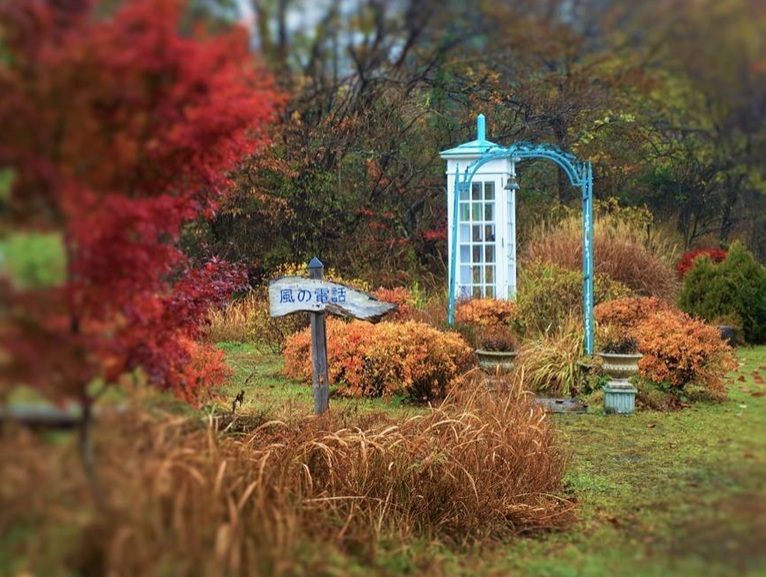 Il Telefono del Vento Giappone ponte cari amore cctm a noi piace leggere lutto
