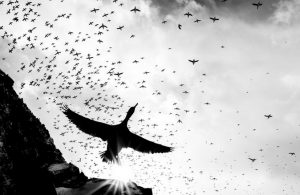 Kahlil Gibran Cuore alato svegliati al mattino grazie cctm a noi piace leggere