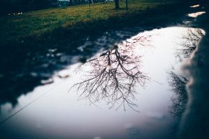 Christian Bobin Ho trovato Dio pozzanghere d’acqua atei cctm a noi piace leggere 