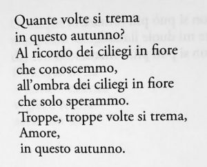 Mara Sabia poesia italia autunno cctm a noi piac leggere Le strade del bacio