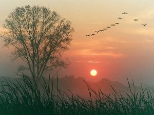 David Maria Turoldo (Italia) alba giorno mondo cctm a noi piace leggere occhi mare sorriso