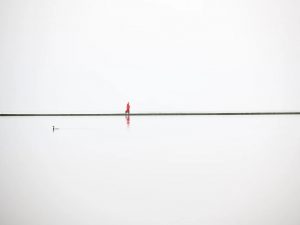 Eckhart Tolle (Germania) monaco buddista qui e ora pace cctm a noi piace leggere impermanenza