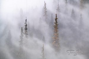 Grazie nebbia W.H. Auden poesia cctm a noi piace leggere Adelphi Thomas Mann