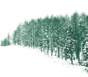 Thomas Mann (Germania) La montagna incantata tempo passeggiata nobel letteratura cctm a noi piace leggere libri