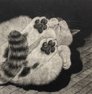 Syou Ishida (Giappone) Un gatto per i giorni difficili gatti felicità cctm a noi piace leggere