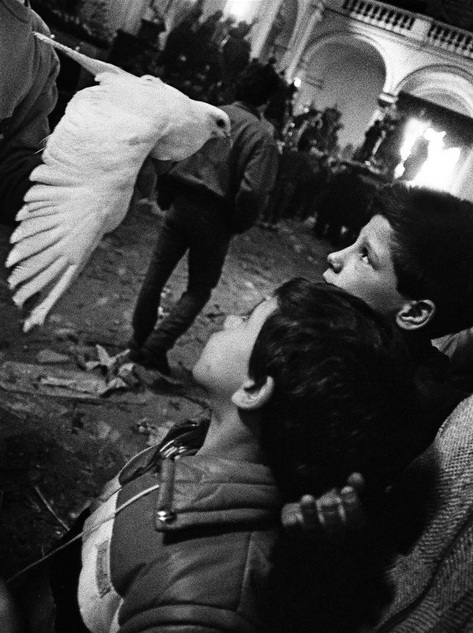 Letizia Battaglia (Italy) la colomba e la bellezza trapani fotografia cctm a noi piace leggere