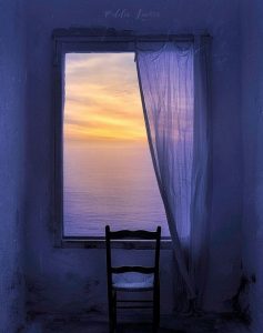 TrainDogs 439 Un giorno ti fermi cctm a noi piace leggere 