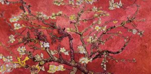 Joan Maragall (Barcellona 1860-1911) poesia mandorlo in fiore neve sole freddo cctm a noi piace leggere catalogna