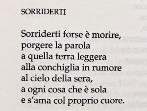 Alfonso Gatto Sorriderti da Poesie d’amore del ‘900, Mondadori, 1999 cctm a noi piace leggere