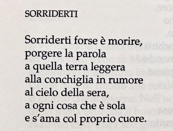 Alfonso Gatto Sorriderti da Poesie d’amore del ‘900, Mondadori, 1999 cctm a noi piace leggere