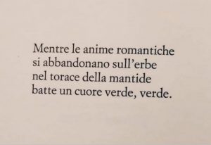 Toti Scialoja (Italia) anime romantiche erba verde mantide amore poesia cctm a noi piace leggere
