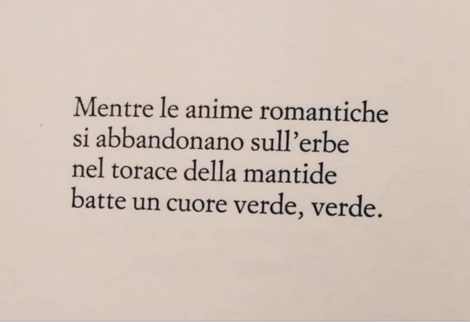 Toti Scialoja (Italia) anime romantiche erba verde mantide amore poesia cctm a noi piace leggere