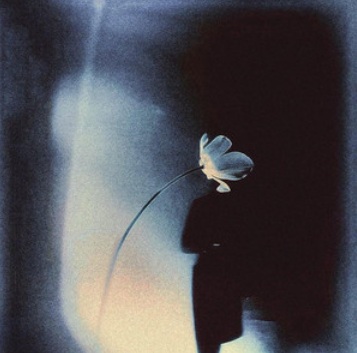 Anaïs Nin Tutta la bellezza Je suis le plus malade des surréalistes scrittori scrittrici cctm a noi piace leggere