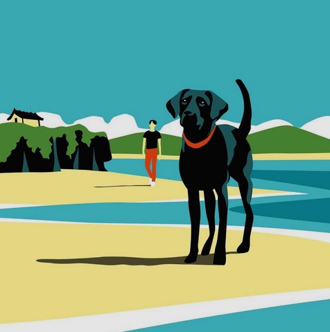 Riccardo Gola (Italia) Aspettando la felicità Maha Harada Rizzoli cane cctm a noi piace leggere