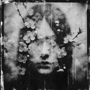 Cesare Pavese da Le poesie anima pace brividi poesia sogno cctm a noi piace leggere