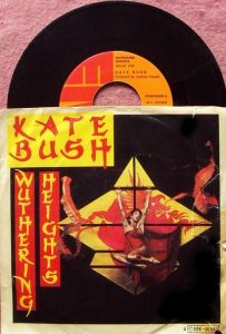 Kate Bush Wuthering Heights Cime Tempestose Heathcliff Cathy amore Emily Brontë cctm libri musica a noi piace leggere