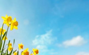 Diego Valeri Marzo poesia nuvola vento sole cctm a noi piace leggere libri