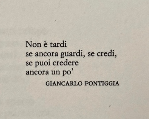 Giancarlo Pontiggia (Italia) Non è tardi se ancora guardi La materia del contendere Garzanti poesia cctm a noi piace leggere