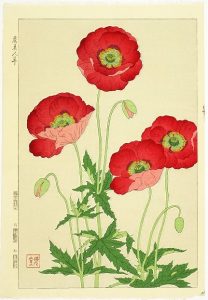 Misuzu Kaneko (Giappone) rosa papavero poesia cctm a noi piace leggere risate lacrime