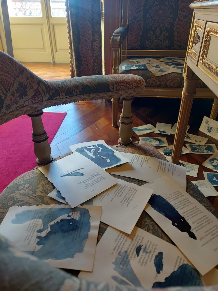 Fammi un quadro del sole Emily Dickinson Castello di Moncalieri Matilde Domestico Floriana Porta Casiraghy Pulcino Elefante cctm a noi piace leggere