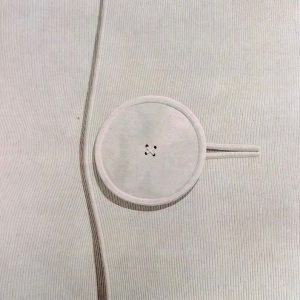 Italo Calvino Il bottone Domenico Gnoli arte scrittura cctm a noi piace leggere