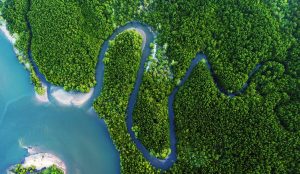 Khalil Gibran Il fiume e l'oceano mare paura indietro il Profeta libri cctm a noi piace leggere