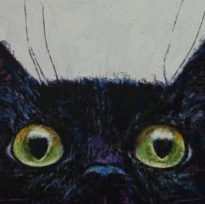 Fabrizio Caramagna Gatto occhi cctm a noi piace leggere finestra silenzio