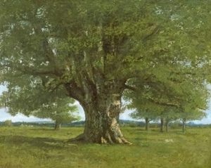 Christian Bobin da La presenza pura libro albero foglie mattino tutto cctm a noi piace leggere 