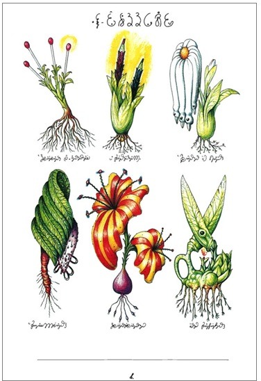 Luigi Serafini Codex Seraphinianus Franco Maria Ricci libri artistici cctm a noi piace leggere