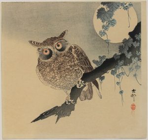 Ohara Koson (Giappone) Gufo su ramo spoglio arte pittura giappone cctm a noi piace leggere