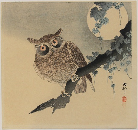 Ohara Koson (Giappone) Gufo su ramo spoglio arte pittura giappone cctm a noi piace leggere