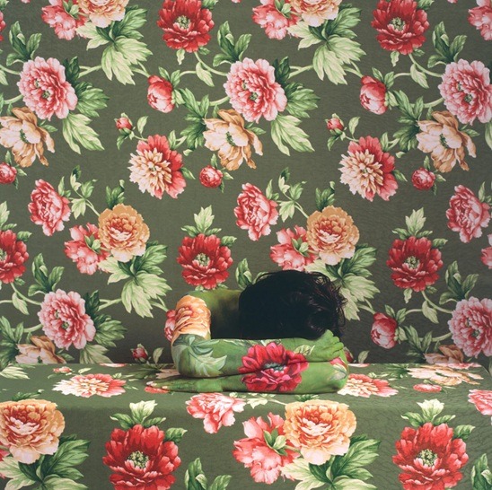 Cecilia Paredes Paisajes arte contemporanea fotografia tappezzeria cctm a noi piace leggere