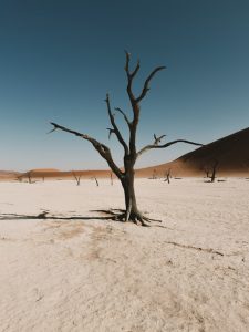 Mariangela Gualtieri Agosto è il mese più violente cctm a noi piace leggere poesia siccità caldo sole