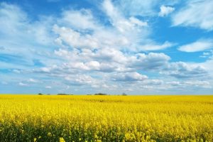 Roberto Casati Le nuvole cielo pioggia estate cctm a noi piace leggere autunno settembre piove
