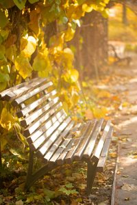 John Keats Ode all'autunno Stagione di nebbie e morbida abbondanza poesia cctm a noi piace leggere 
