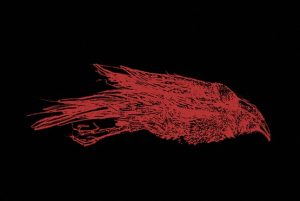 Carmen Gallo Procne Machine Einaudi premio Strega poesia cctm a noi piace leggere paura